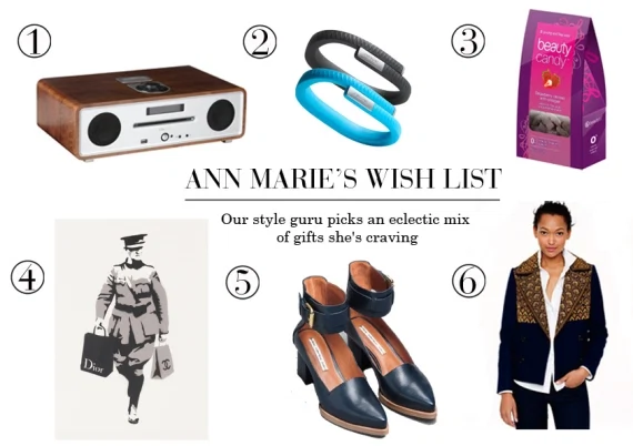 Ann Marie O’Connor’s Wish List