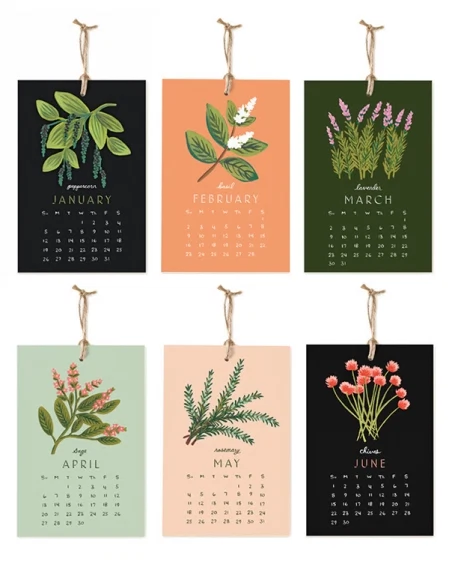 1.Herbs and Spices calendar, ?16, Lemonkind