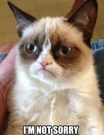 grumpy cat