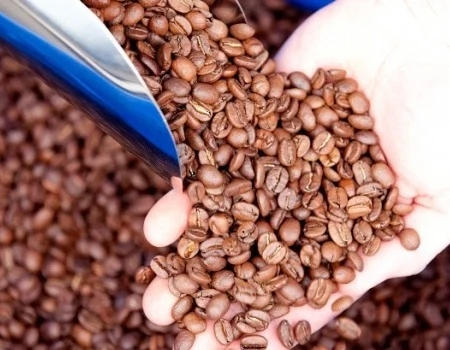 The Most Critically Acclaimed Coffee in Ireland?