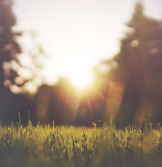 “I’m Sorry, It’s Cancer”