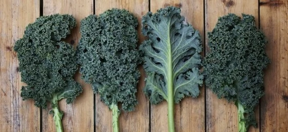 5 Seasonal Superfoods