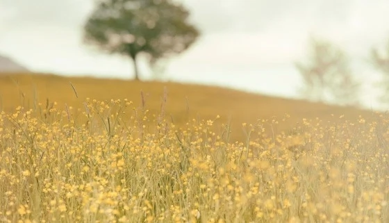 Why Walking is Your New Best Friend