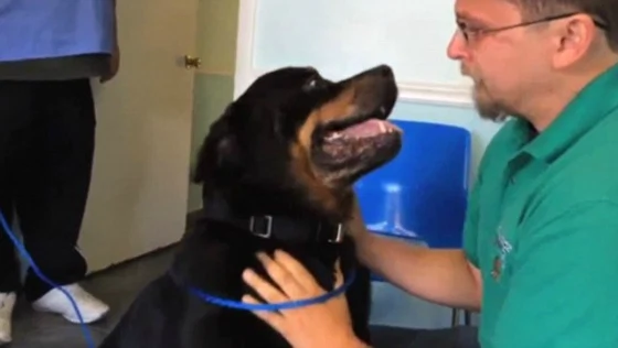 Watch: Man Reunited With Dog After 8 Years