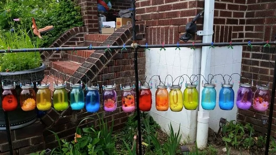Woman With ?Relentlessly Gay? Garden Gets Epic Revenge