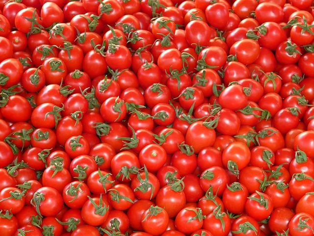 tomatoes