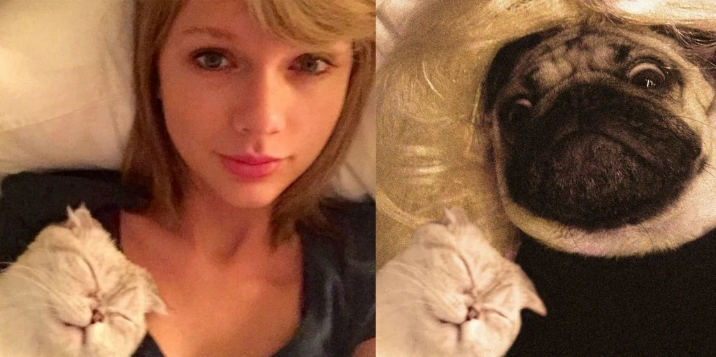 DOUG-THE-PUG-taylor-swift-21