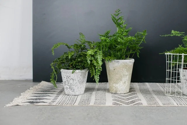 How to Do More With Less - image.ie/interiors