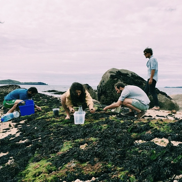 Screen Shot 2015-07-24 at 14.30.54