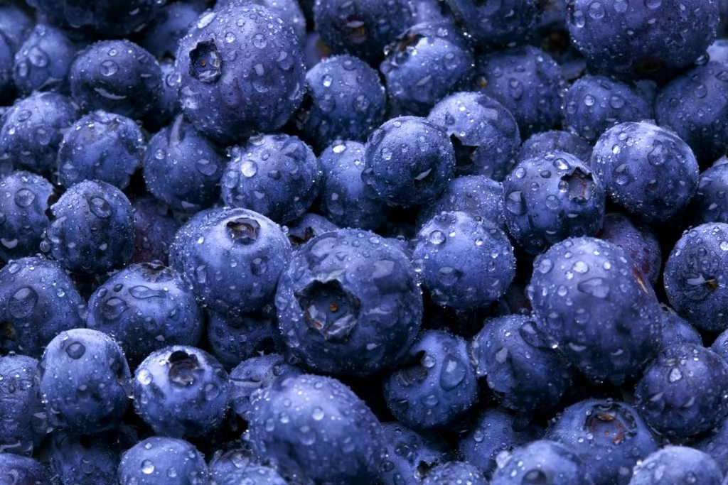 blueberries