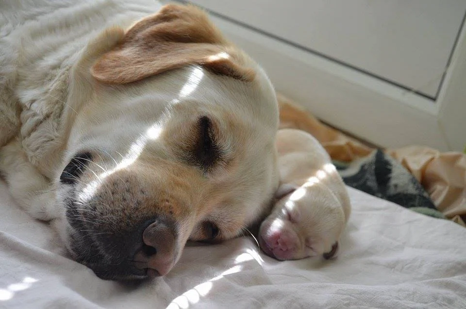 Insanely Cute Pics To Kickstart Your Weekend