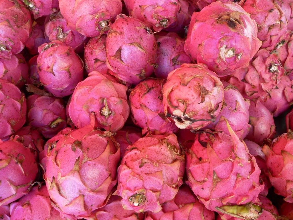 pitaya