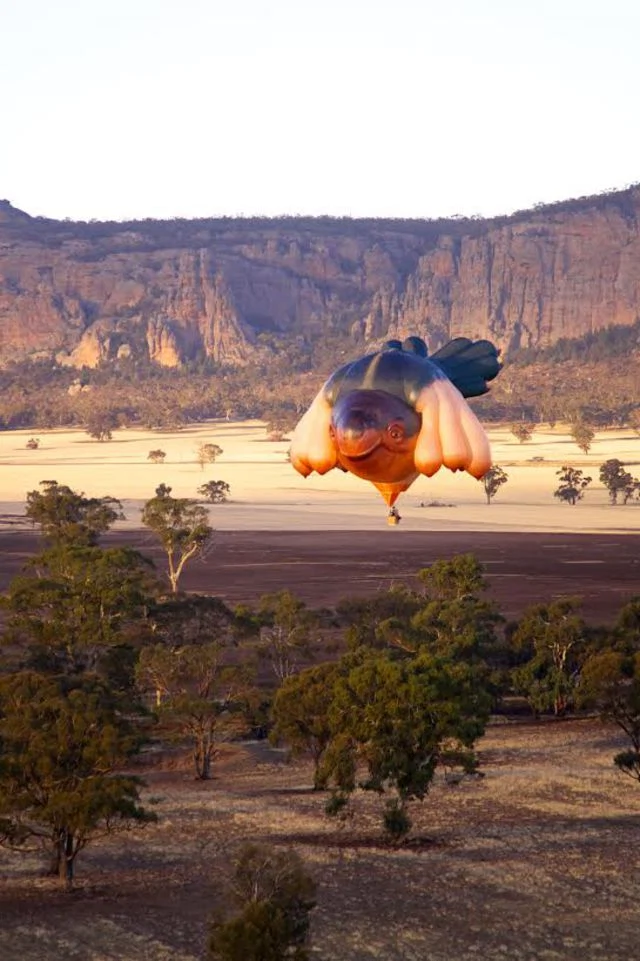 First flight of the SkyWhale, over Mt Arapilies, Western Victoria, Australia Image courtesy ACT Government / Centenary of Canberra.