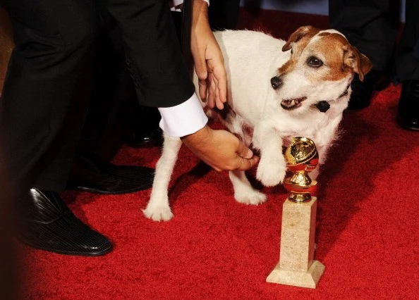 The Dog From The Artist, Uggie, Has Died