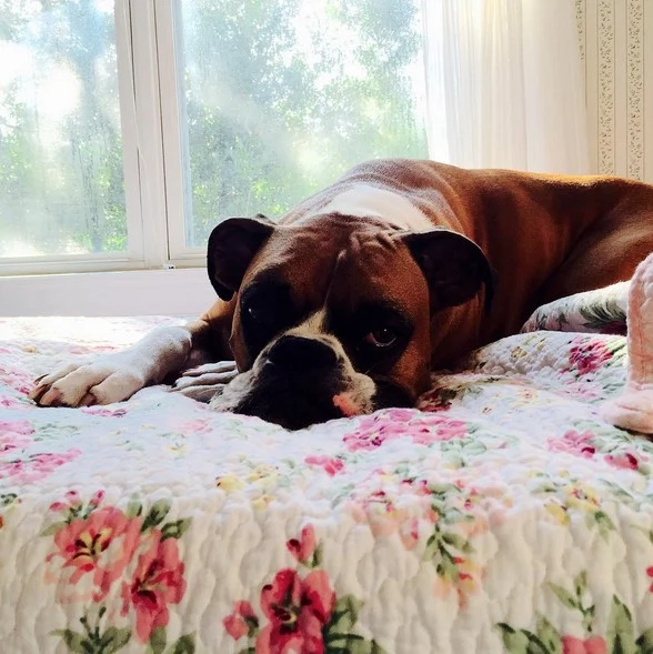 Screen Shot 2015-08-22 at 23.03.43