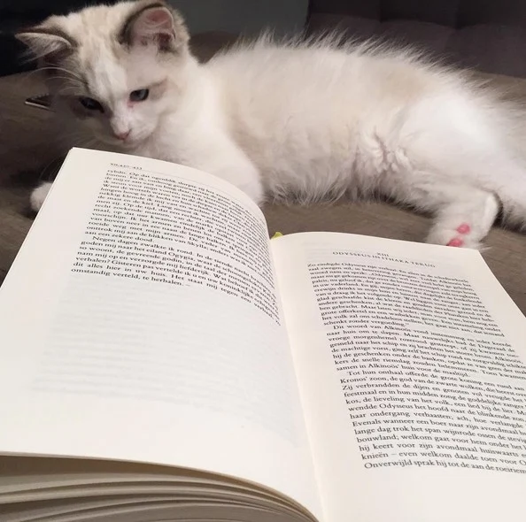 Screen Shot 2015-08-22 at 23.21.02