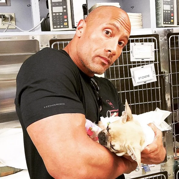 The Rock Had To Put His Dog Down, Wants To Warn Pet Owners