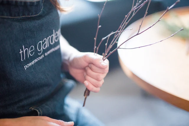 Winter foliage how-to