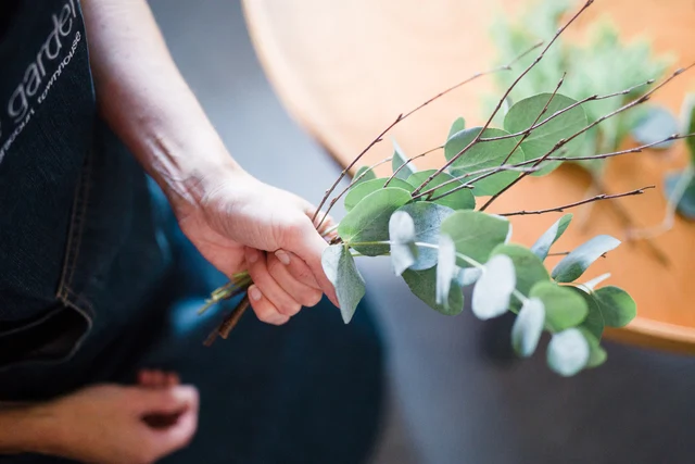 Winter foliage how-to