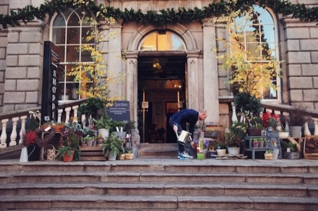 Mark Grehan, The Garden. Photography: Ailbhe O'Donnell
