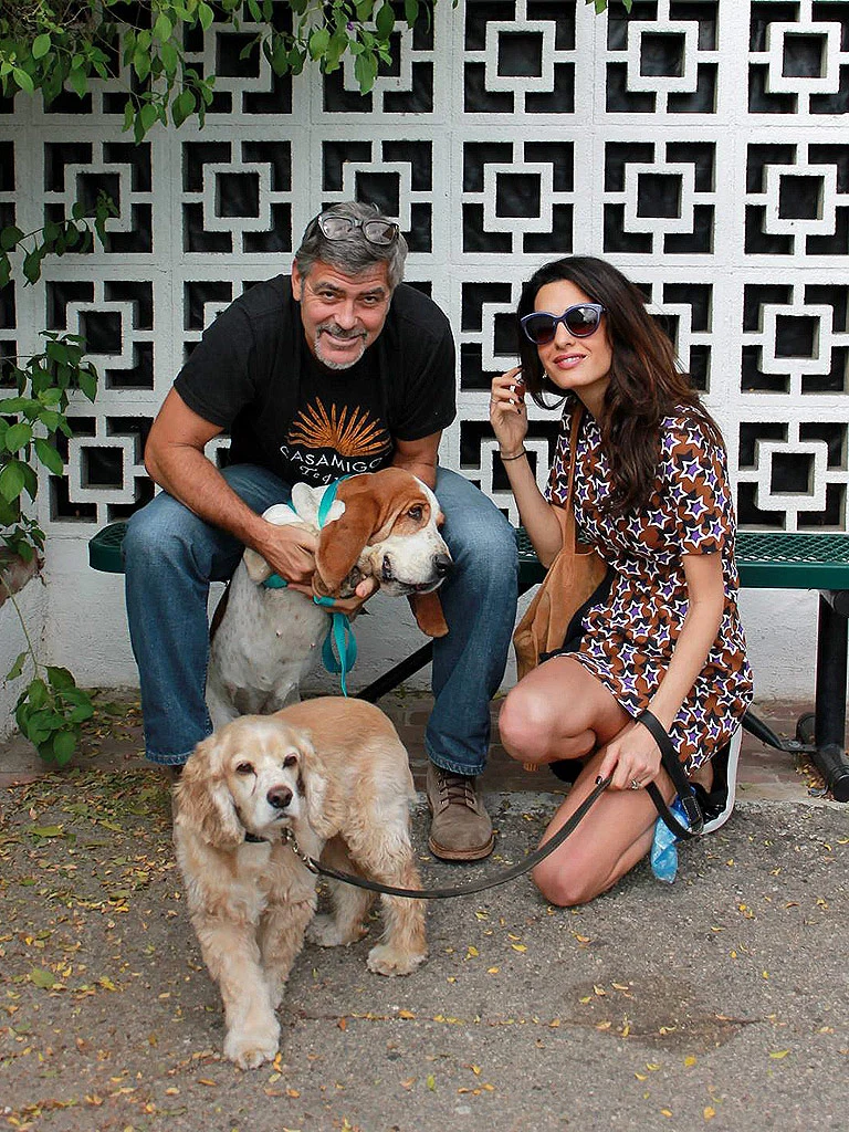 george and amal clooney