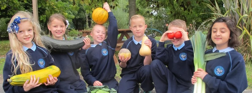 healthy-food-for-all-school-food-initiative-855x316