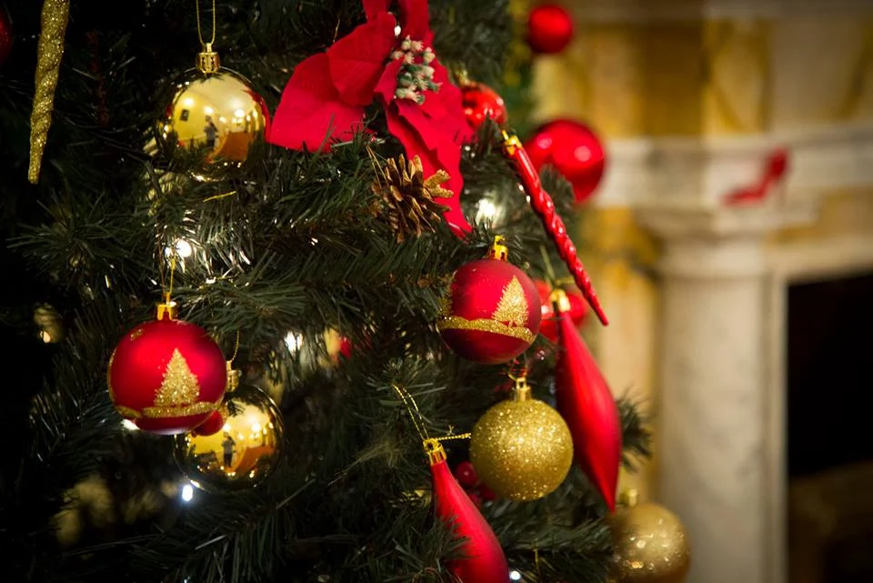 12247083_10153726756972629_924320224847595979_n