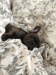 The Ultimate Luxury Lounge-Wear Edit The Ultimate Luxury Lounge-Wear Edit