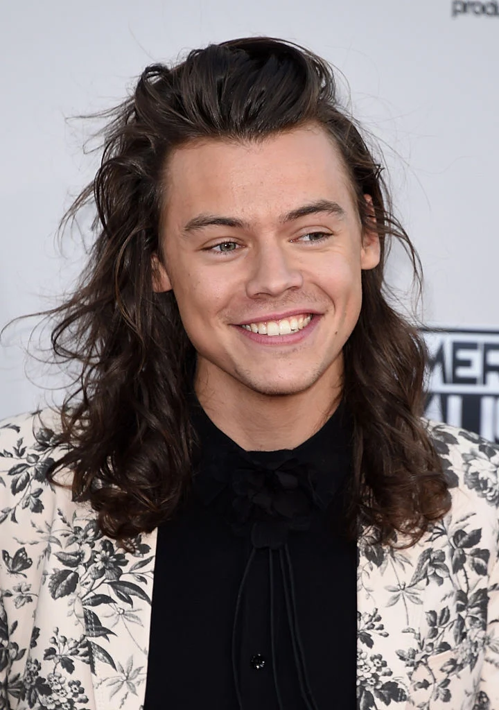 22 Pictures To Celebrate Harry Style’s 22nd Birthday