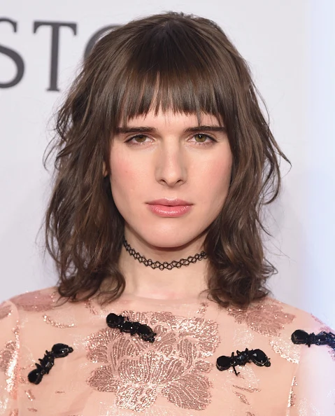 NEW YORK, NY - FEBRUARY 10: Actor Hari Nef attends 2016 amfAR New York Gala at Cipriani Wall Street on February 10, 2016 in New York City. (Photo by Michael Loccisano/Getty Images)