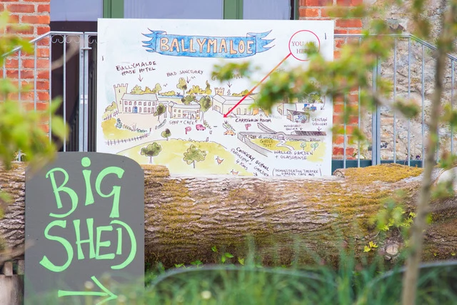 Behind the Scenes at Ballymaloe Litfest 2016