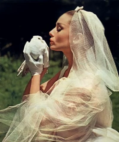 1b4368cc512ca850271b56ba5f5d5c32