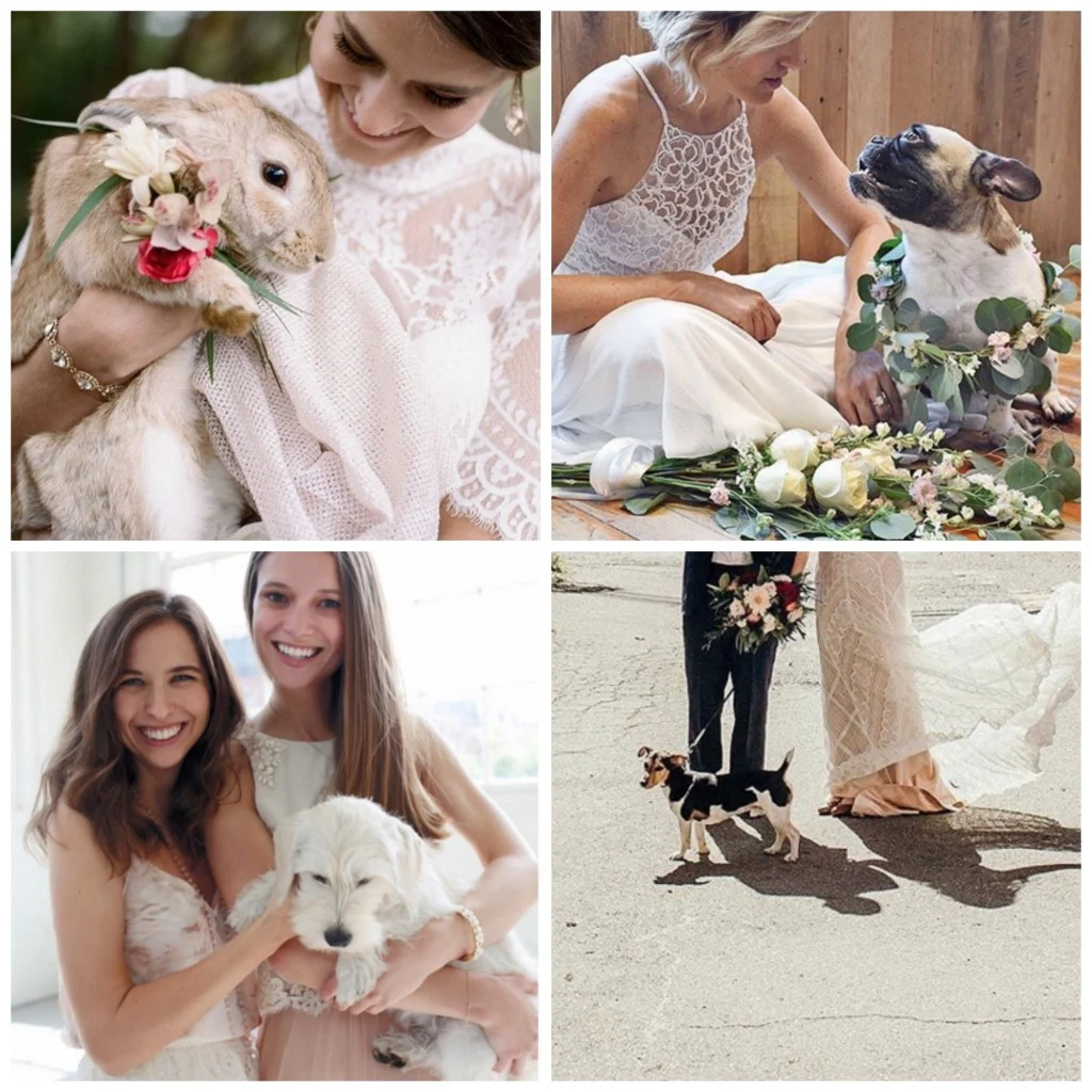 PicMonkey Collage