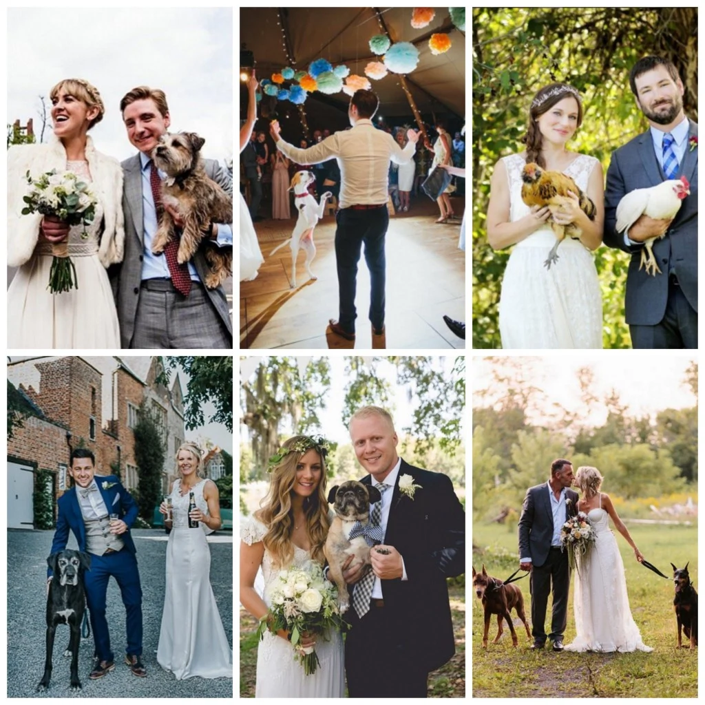 PicMonkey Collage