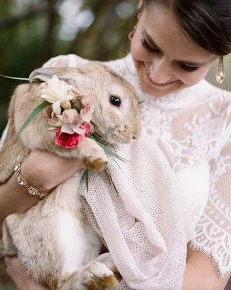 InstaWedding: Pet-Inclusive Wedding Snaps Are All The Rage