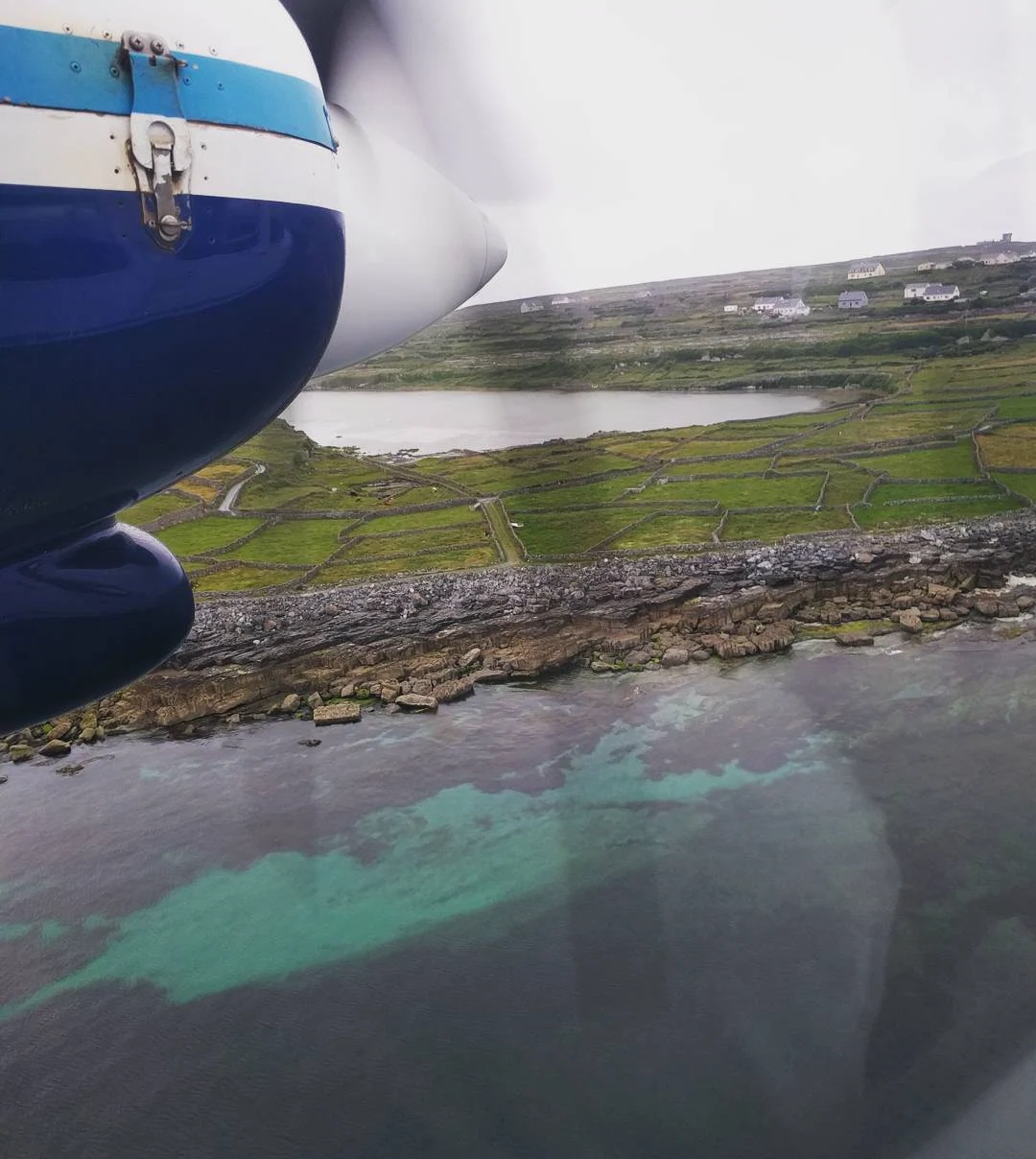 13694420_1078631355567179_1004720388_n