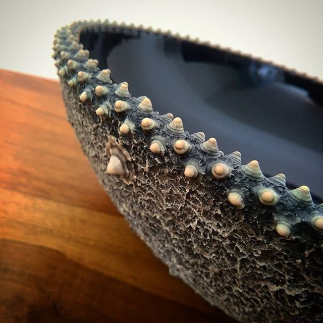 13696535_591710821007755_1222833178_n