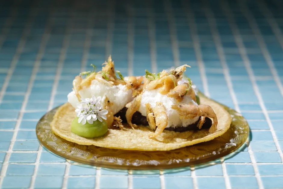 hoja-santa-barbate-shrimp-taco
