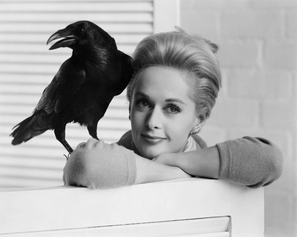 tippi-bird-bw-2