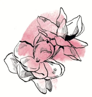 screen-shot-2017-02-10-at-2-48-37-p-m