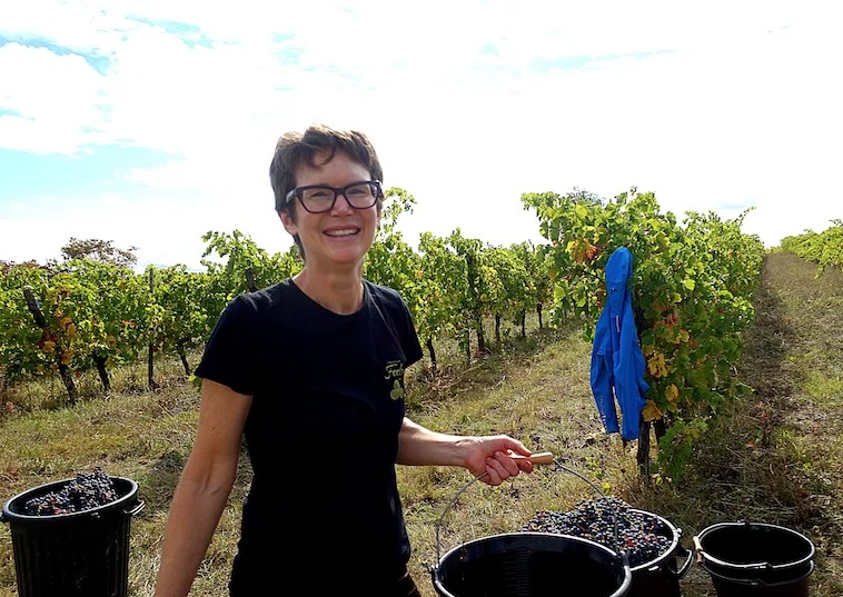 A Vine Life: Caro Feely, Ahead Of Litfest