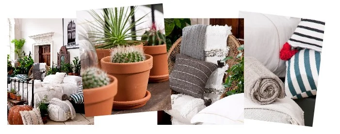 Abode Pop-up Image Interiors & Living Reader Event