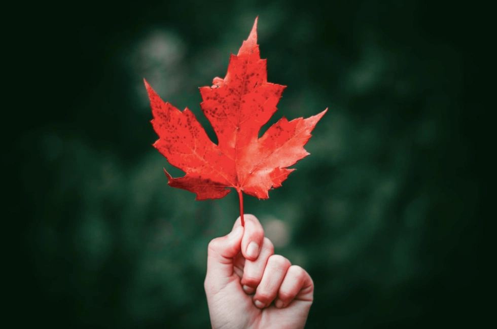 Return to routine: 6 tips for successful September resolutions