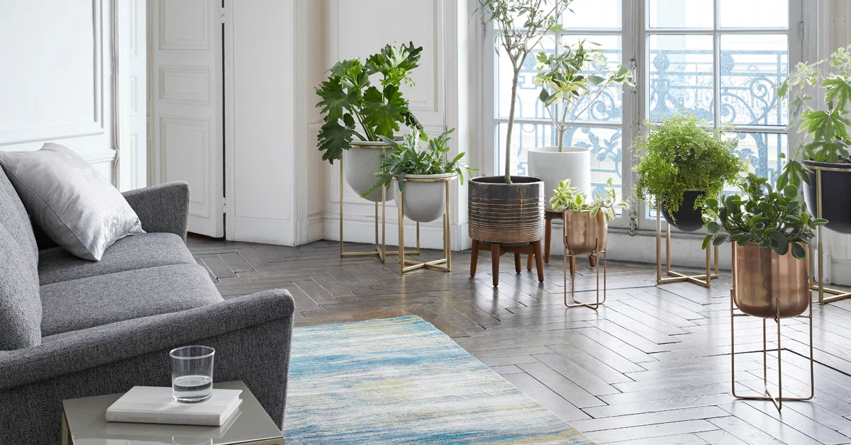 6 Things We Learned About The New West Elm Collection in Arnotts