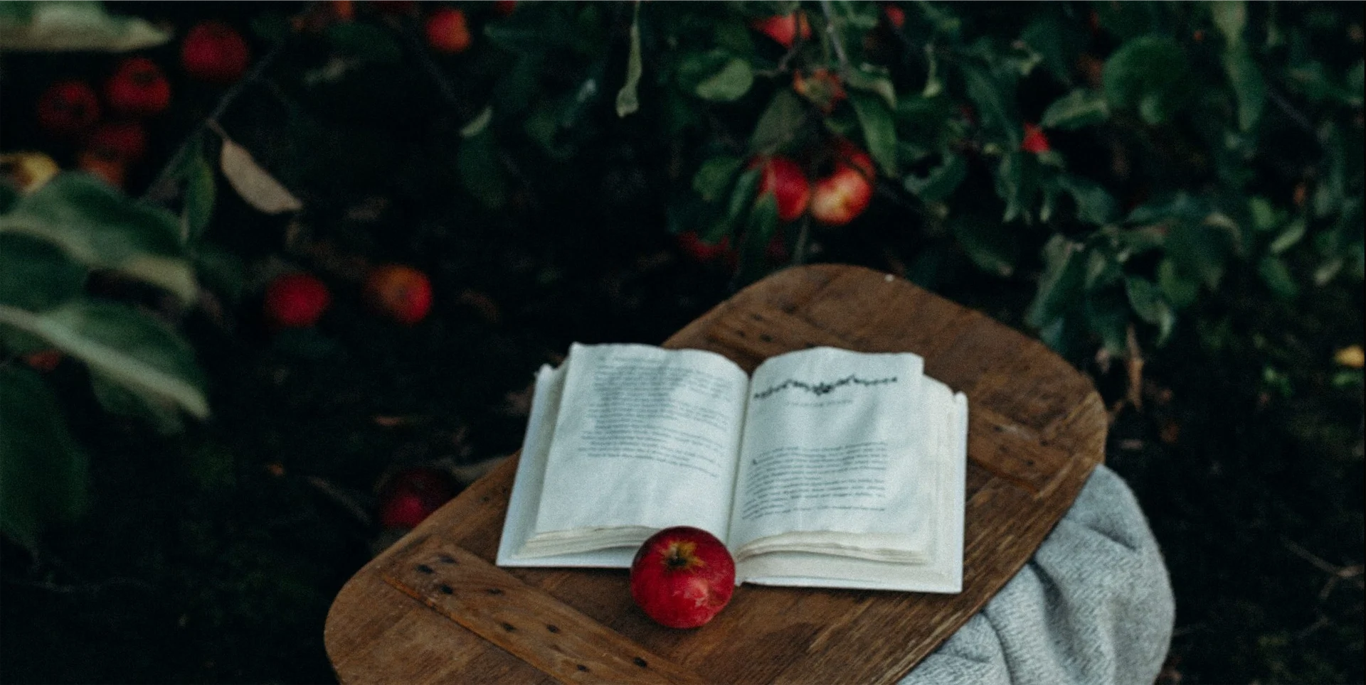 #IMAGEReads: 3 celebrity fiction books you won’t be able to put down