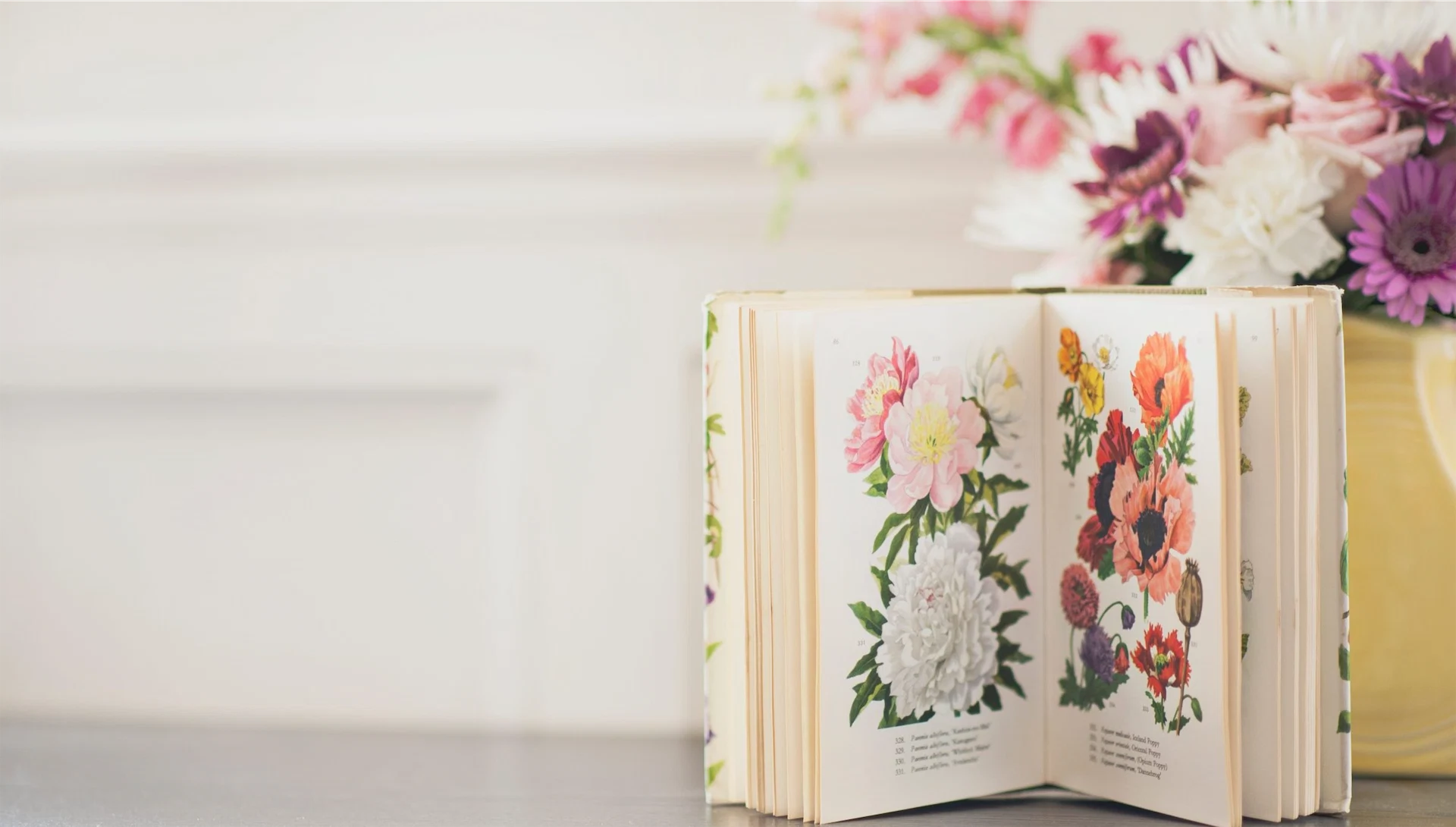 #IMAGEReads: Seven brilliant books your mother is sure to love