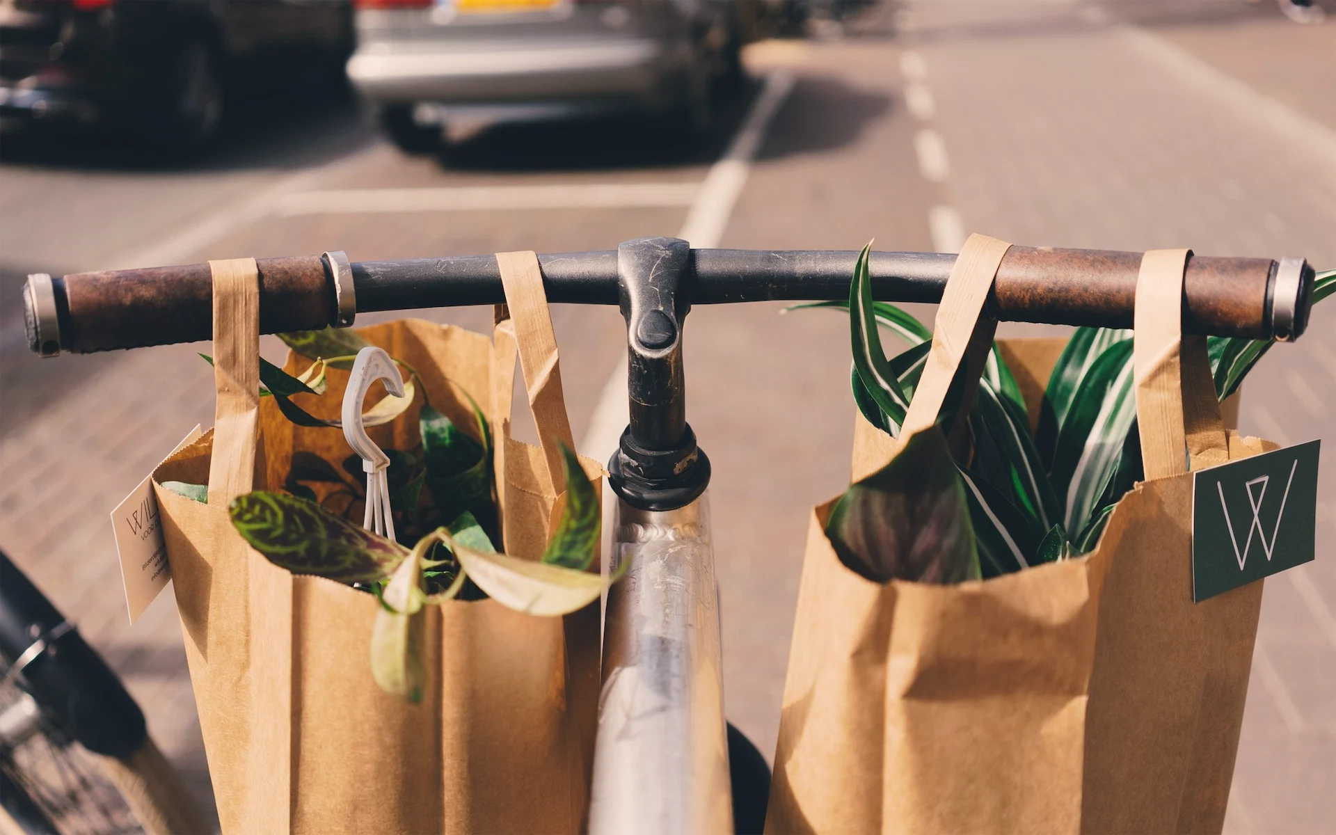 Want To Be More Green? 8 Small Changes To Make Today