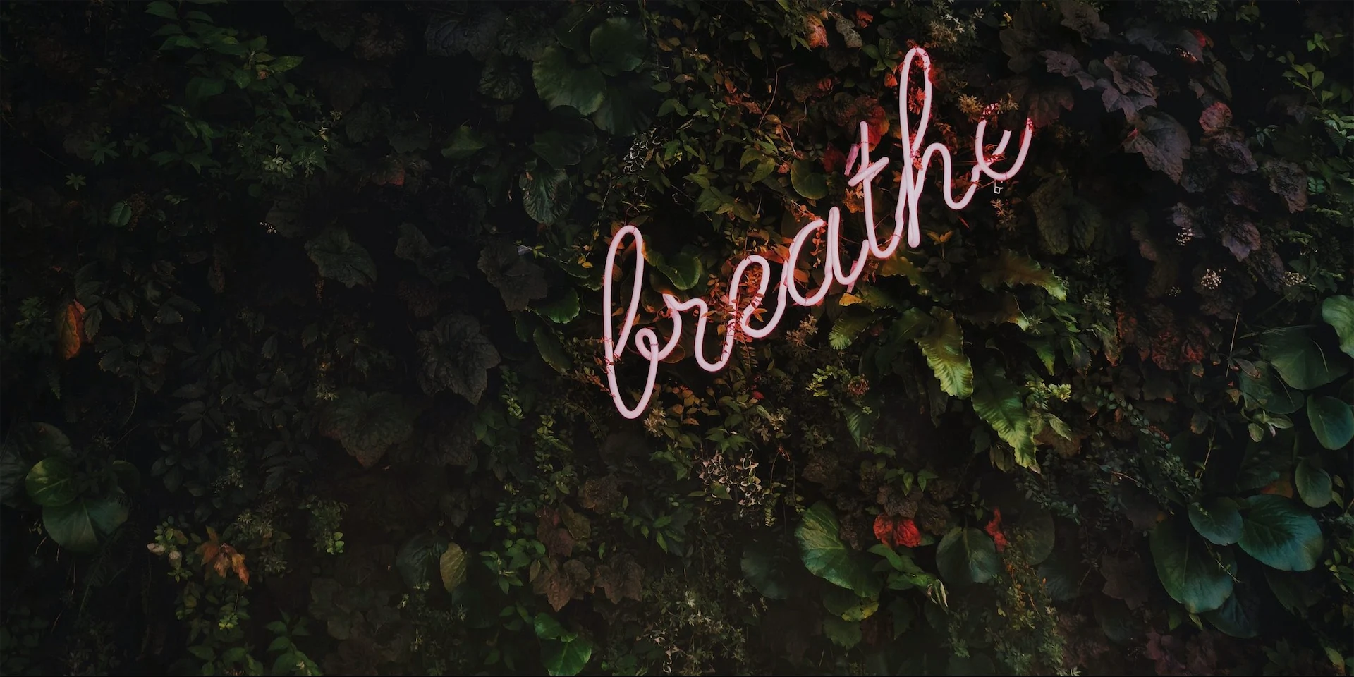 5 Anti-Stress Scents Guaranteed To Help You Unwind