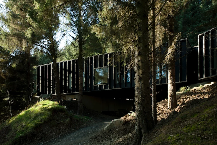 Inside a modern Wicklow tree house built for family life