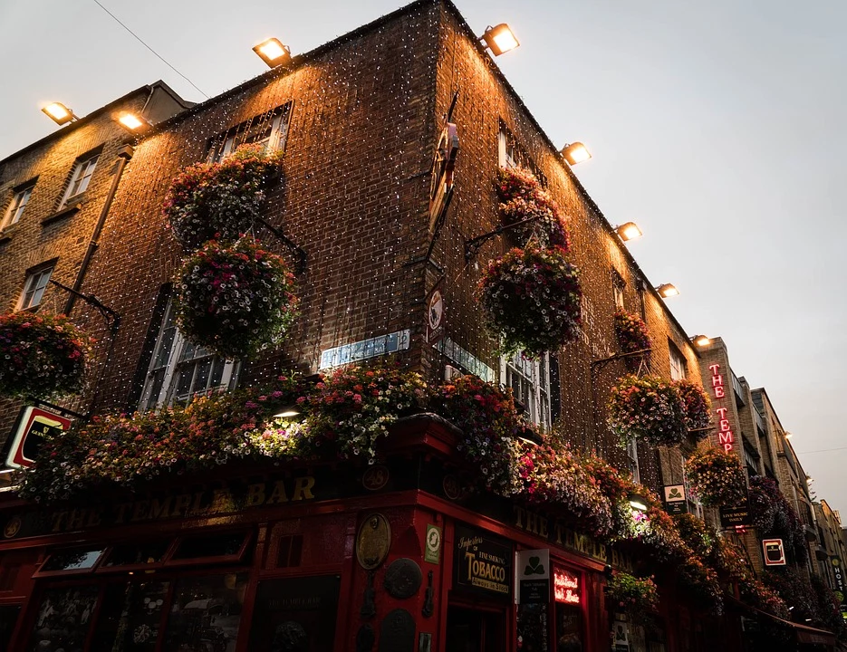 From wine & cheese to street art walking tours: here’s what’s on this Paddy’s weekend From wine & cheese to street art walking tours: here’s what’s on this Paddy’s weekend